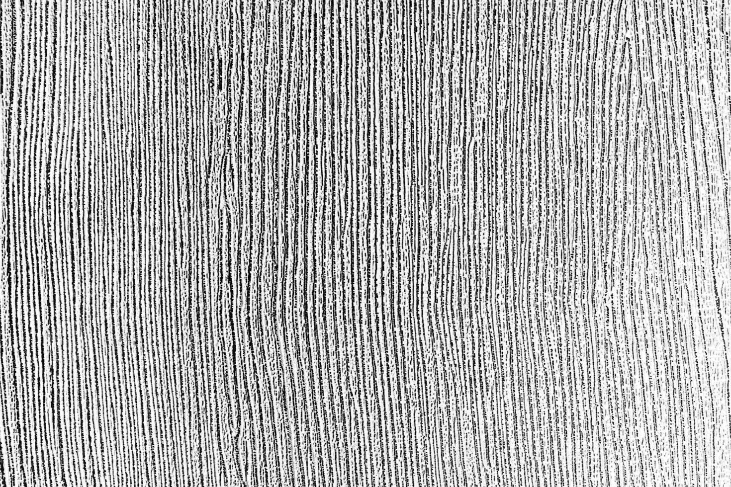Black and white wooden texture. photo