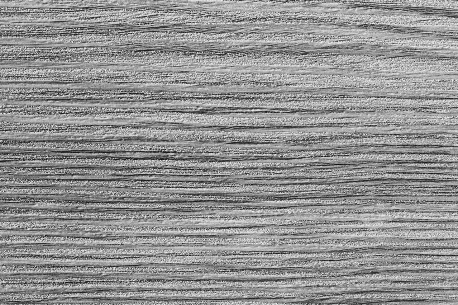 Black and white wooden texture. photo