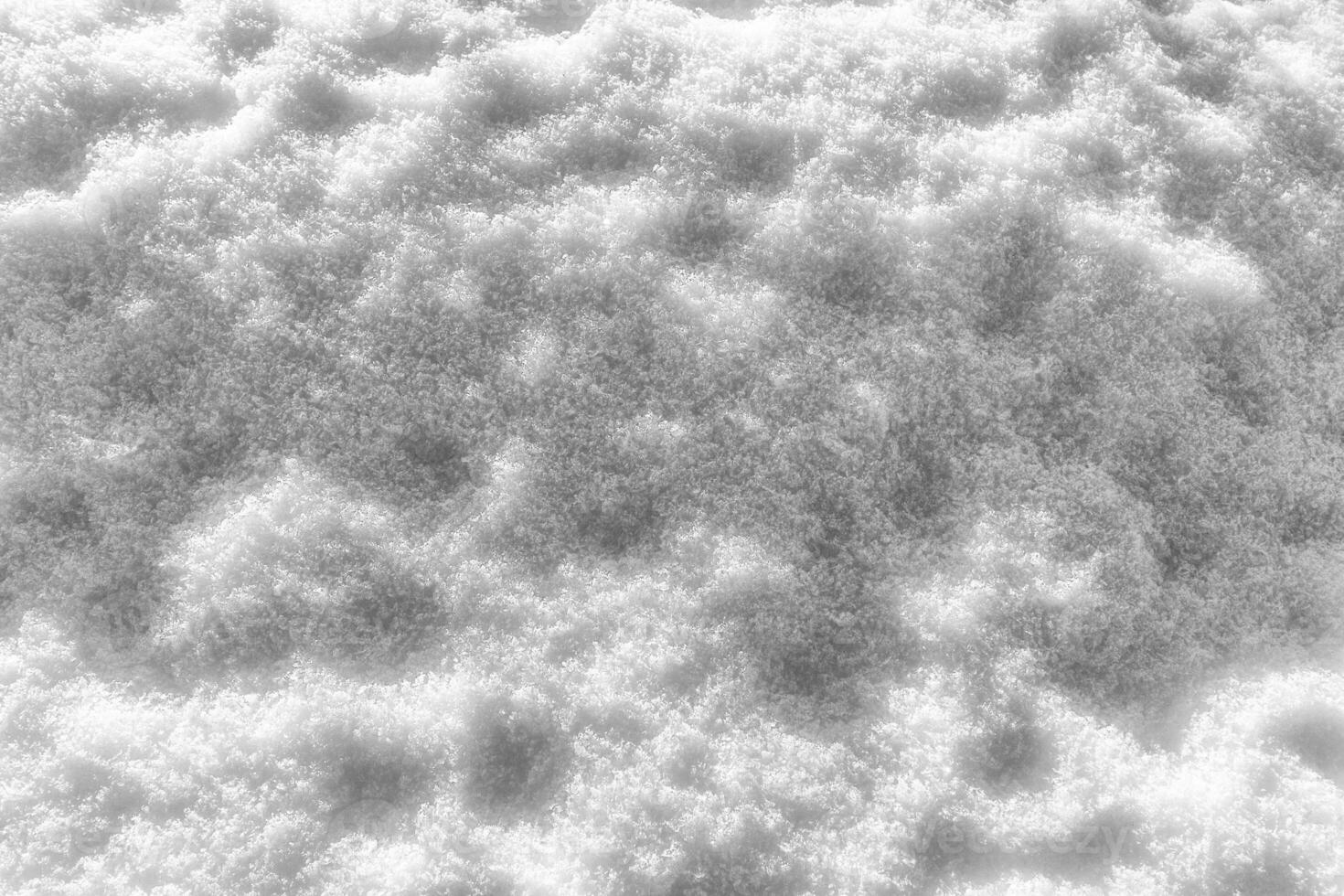 Snow texture at sunny winter day. Abstract background. photo