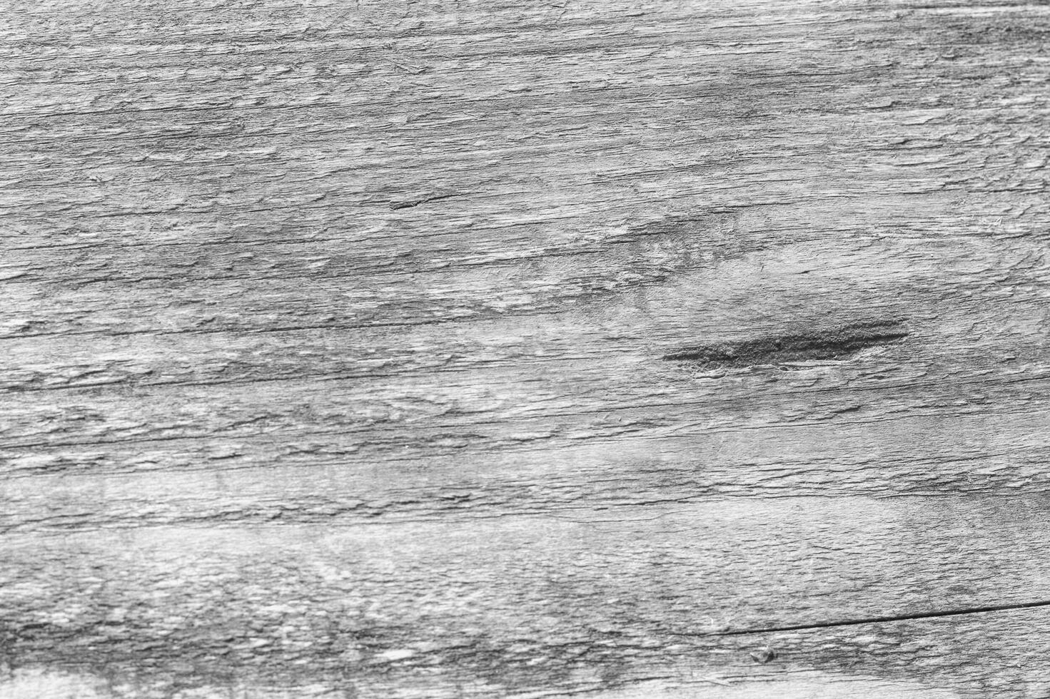 Grey wood texture. photo