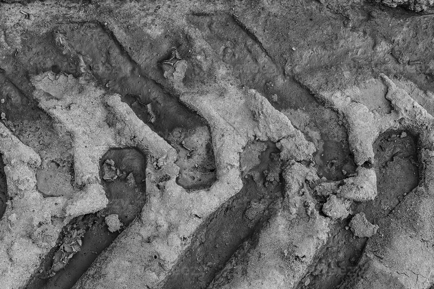 Tire Track on the ground. photo