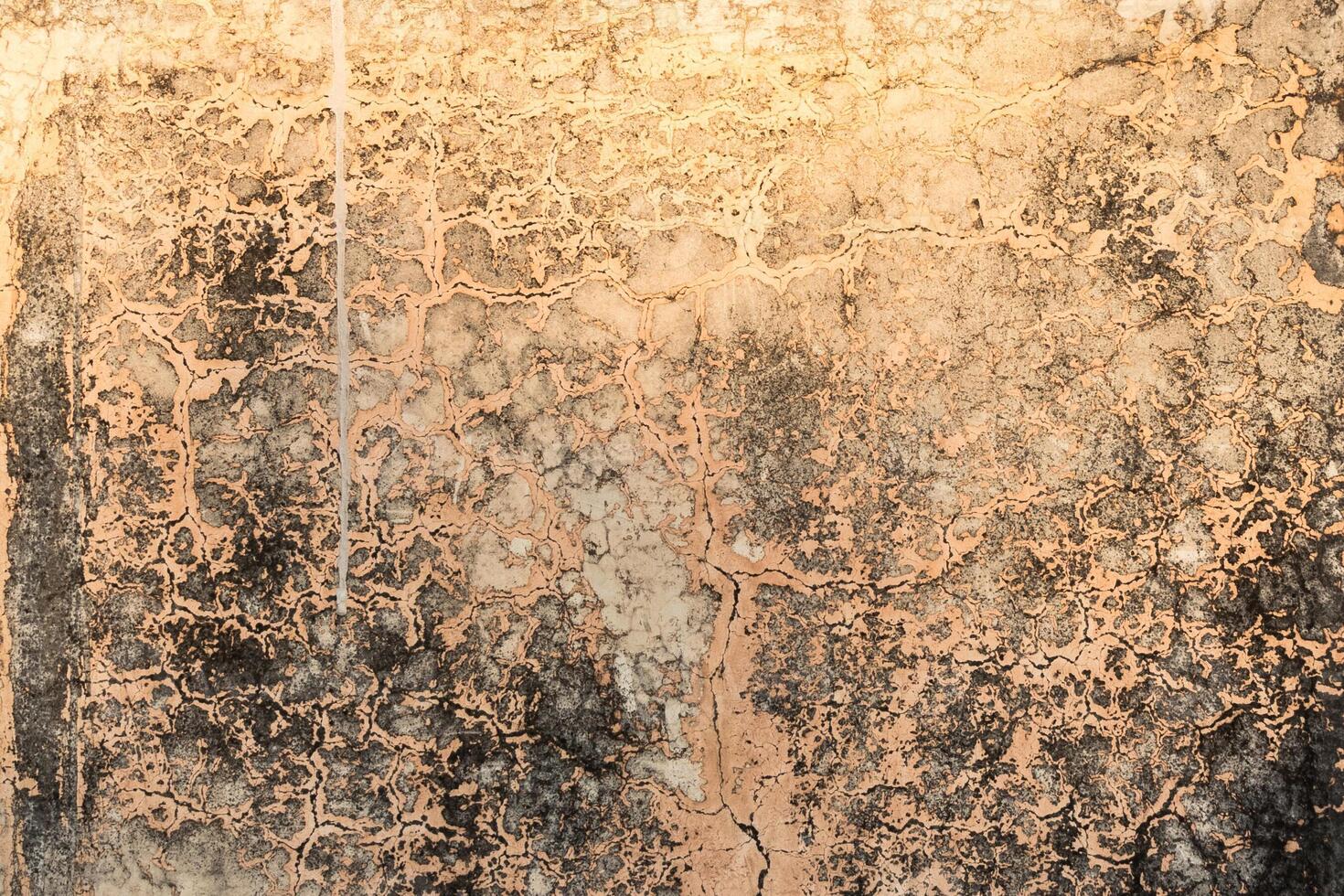 Gray concrete wall texture. photo