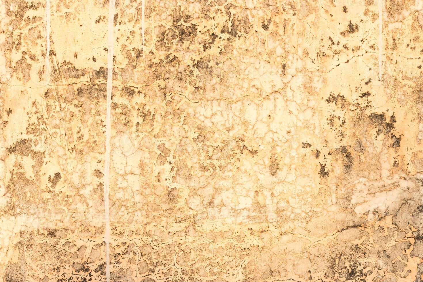 Gray concrete wall texture. photo