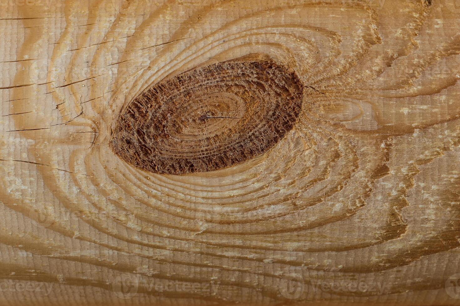 Wooden log of pine as a background texture. photo