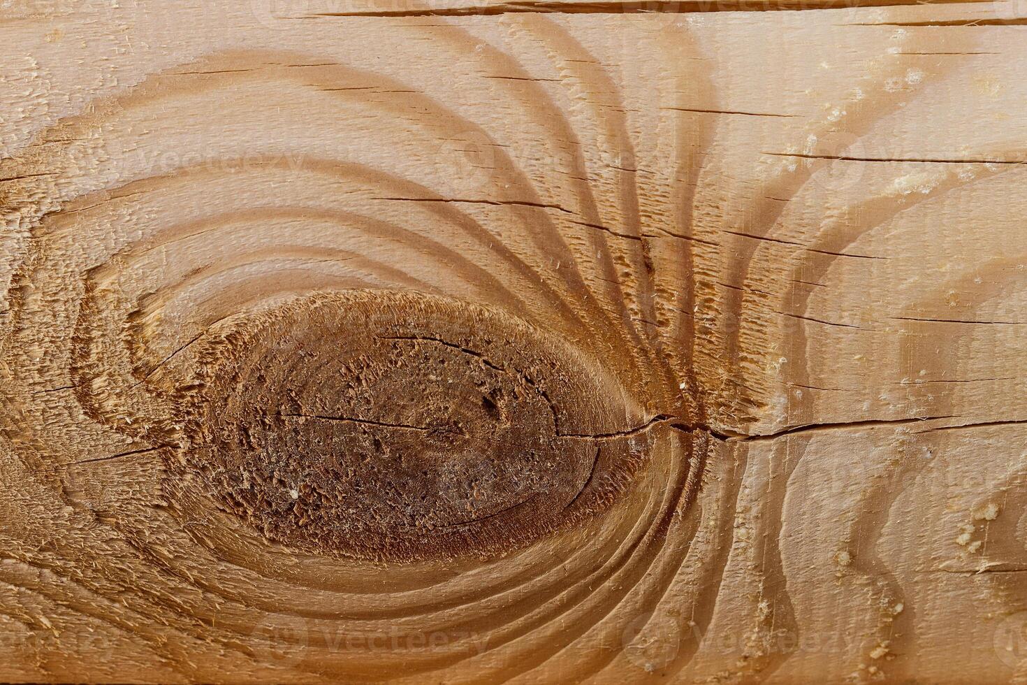 Wooden log of pine as a background texture. photo