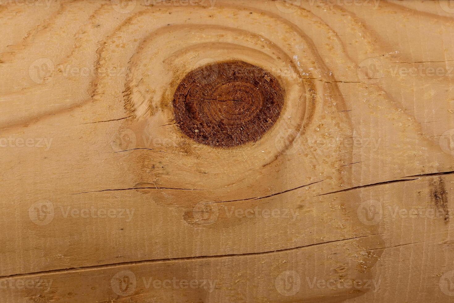 Wooden log of pine as a background texture. photo