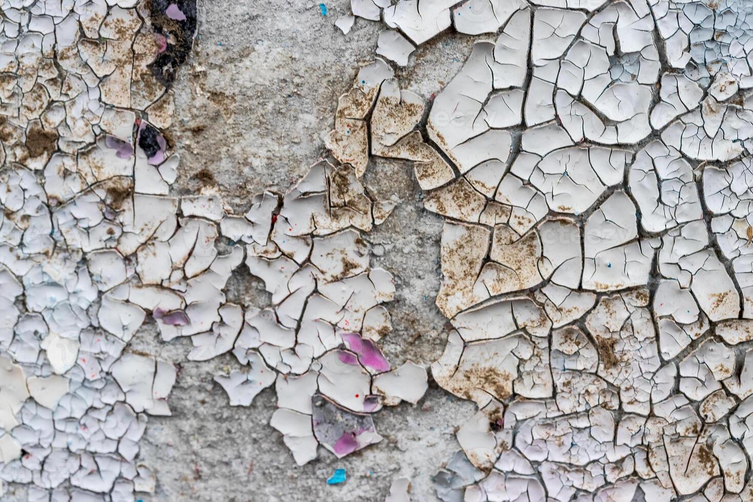 Graffiti painted on a concrete wall texture. photo