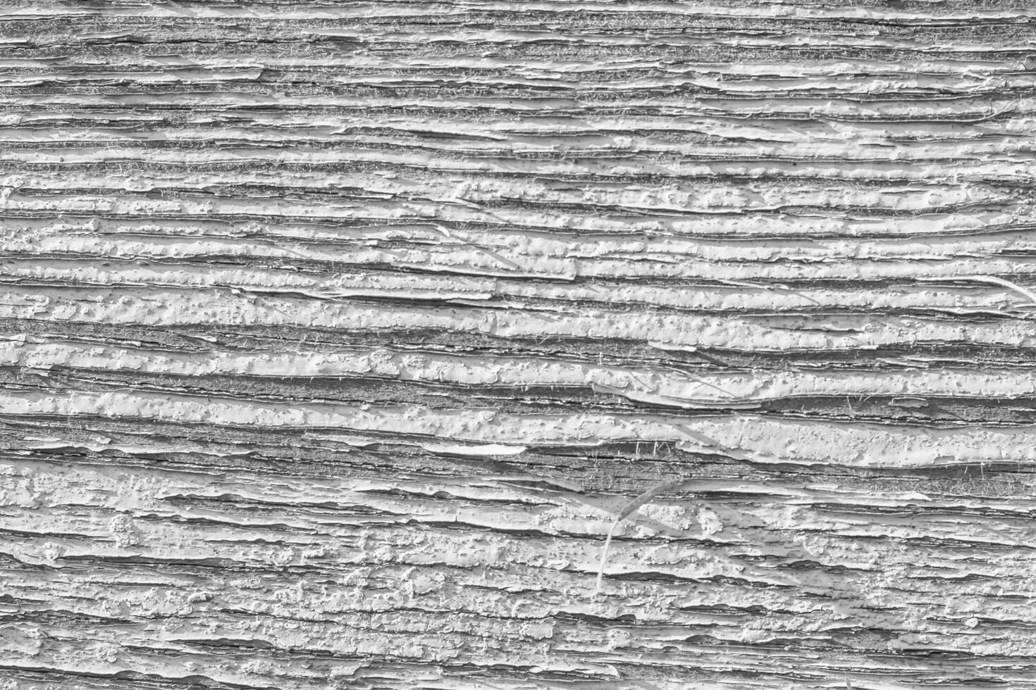 Monochrome texture of a board. Abstract background. photo