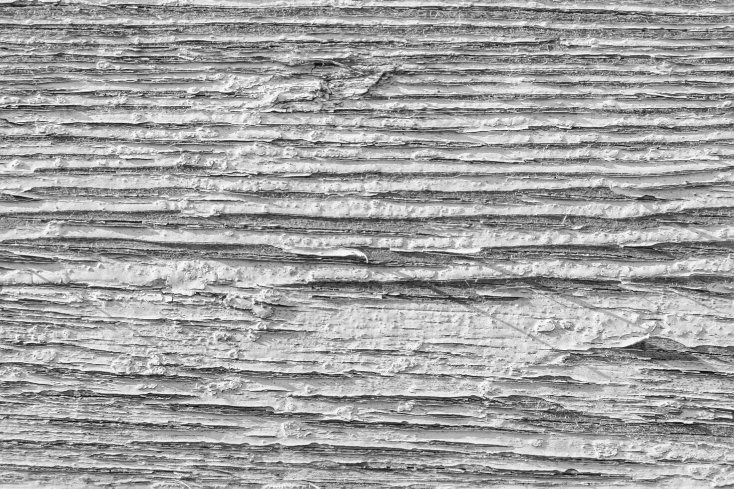 Monochrome texture of a board. Abstract background. photo