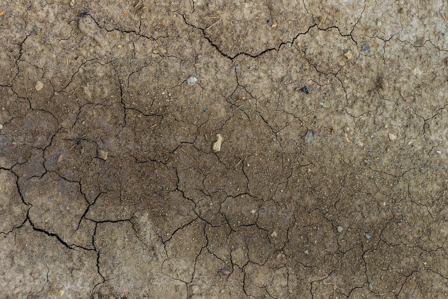 Dry cracked grey earth background photo