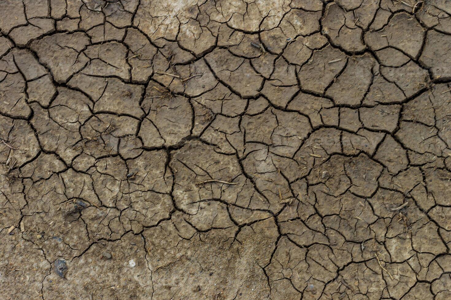 Dry cracked grey earth background photo