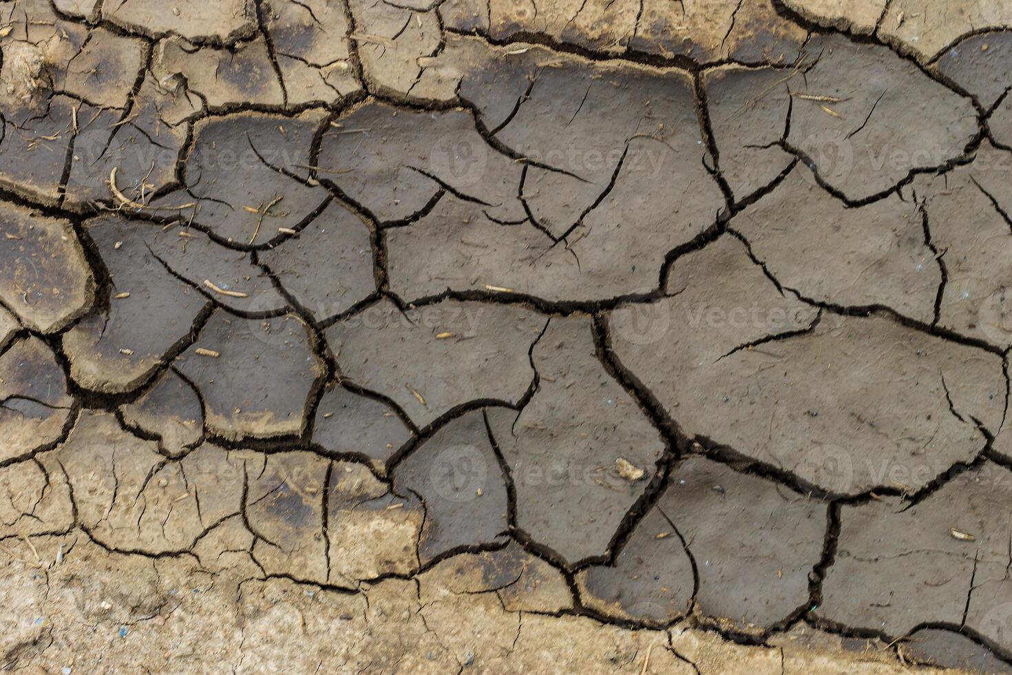 Dry cracked grey earth background photo