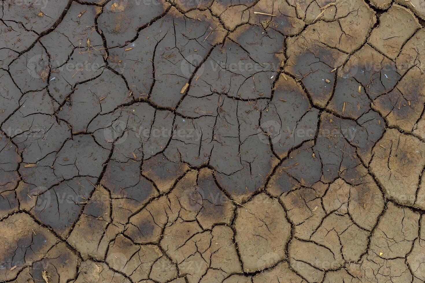 Dry cracked grey earth background photo