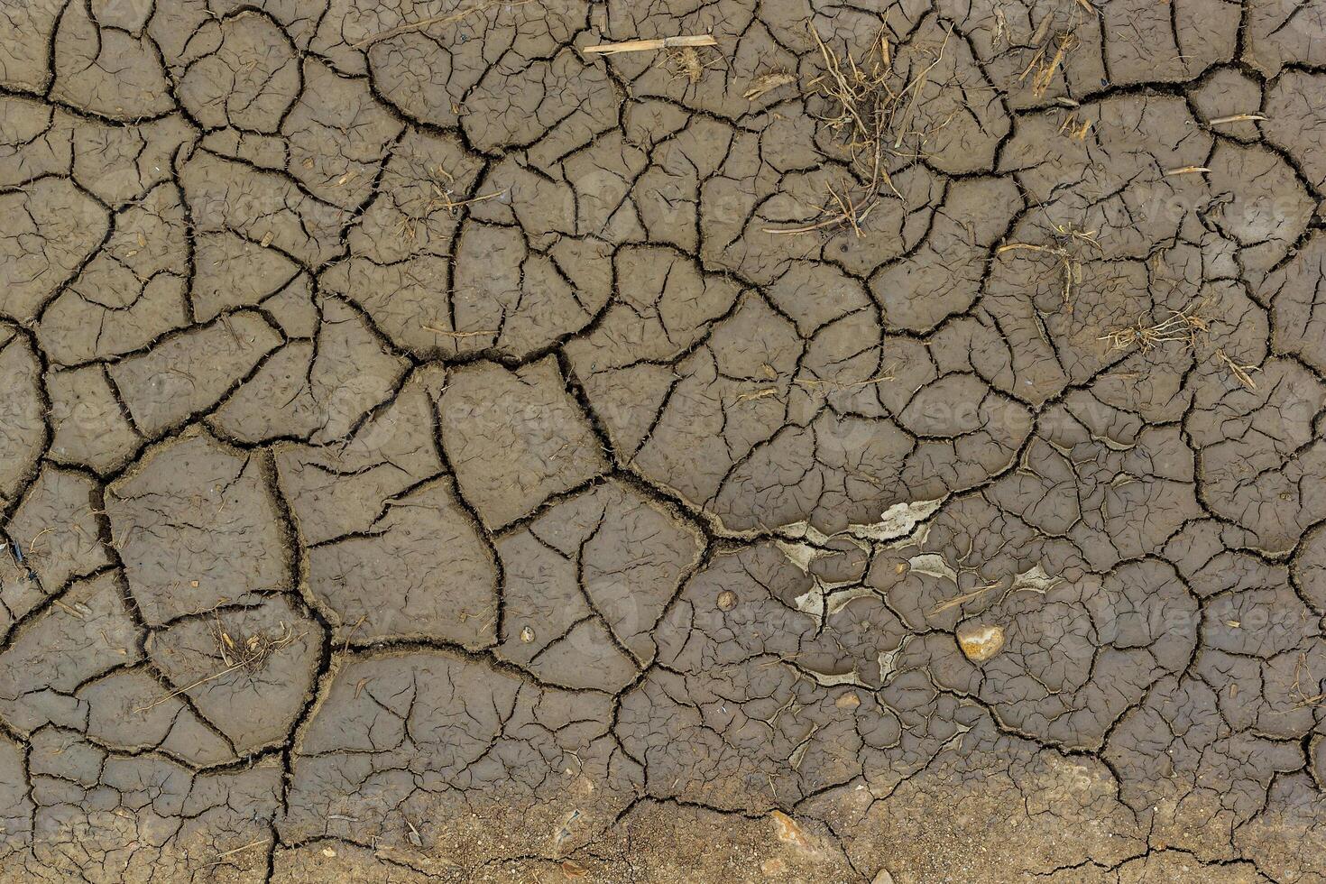 Dry cracked grey earth background photo