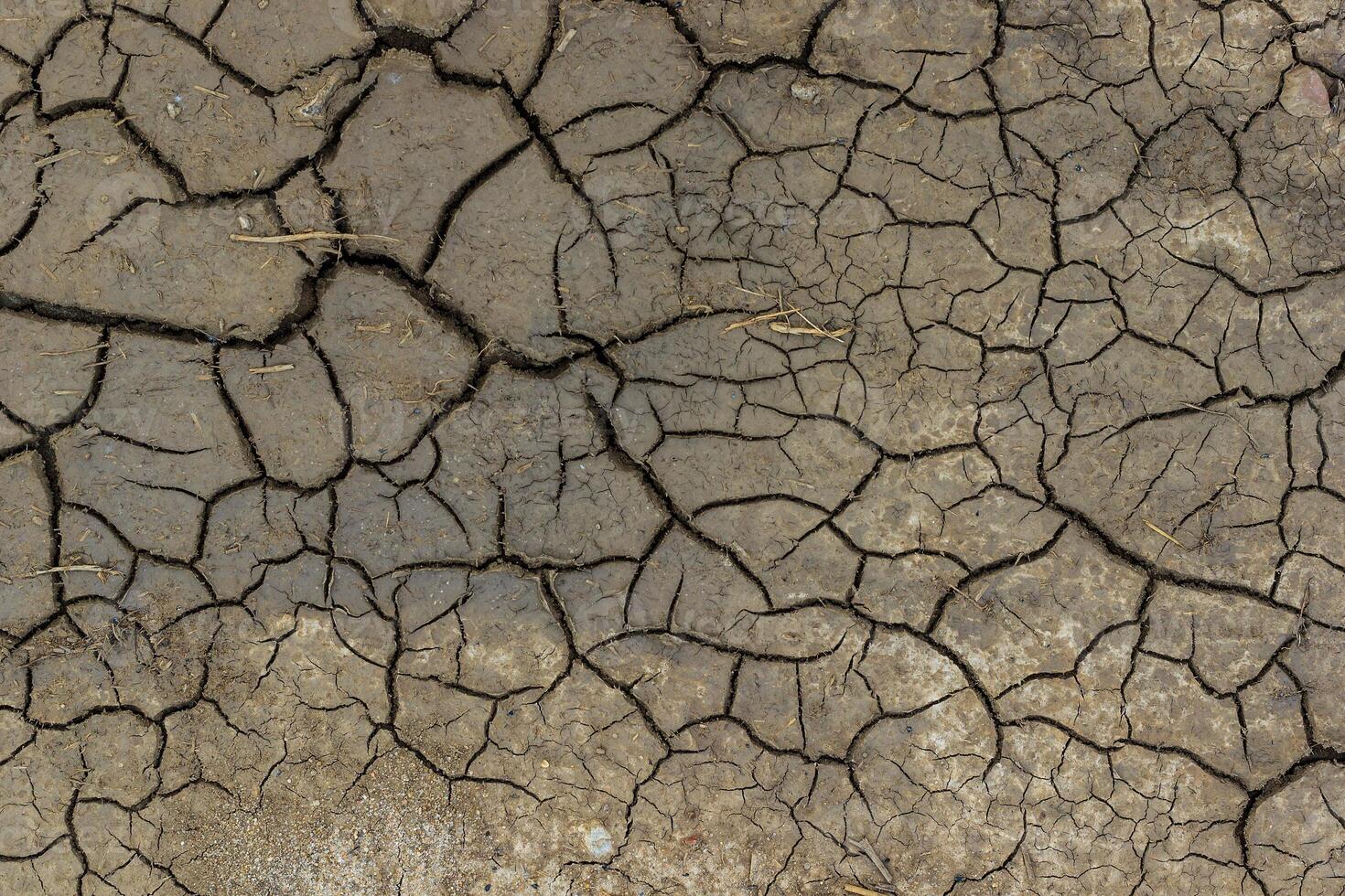 Dry cracked grey earth background photo