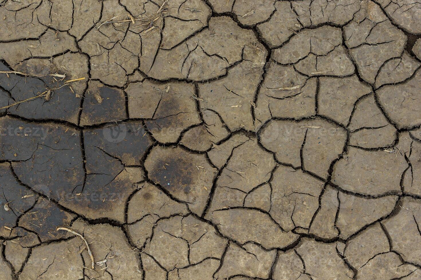 Dry cracked grey earth background photo