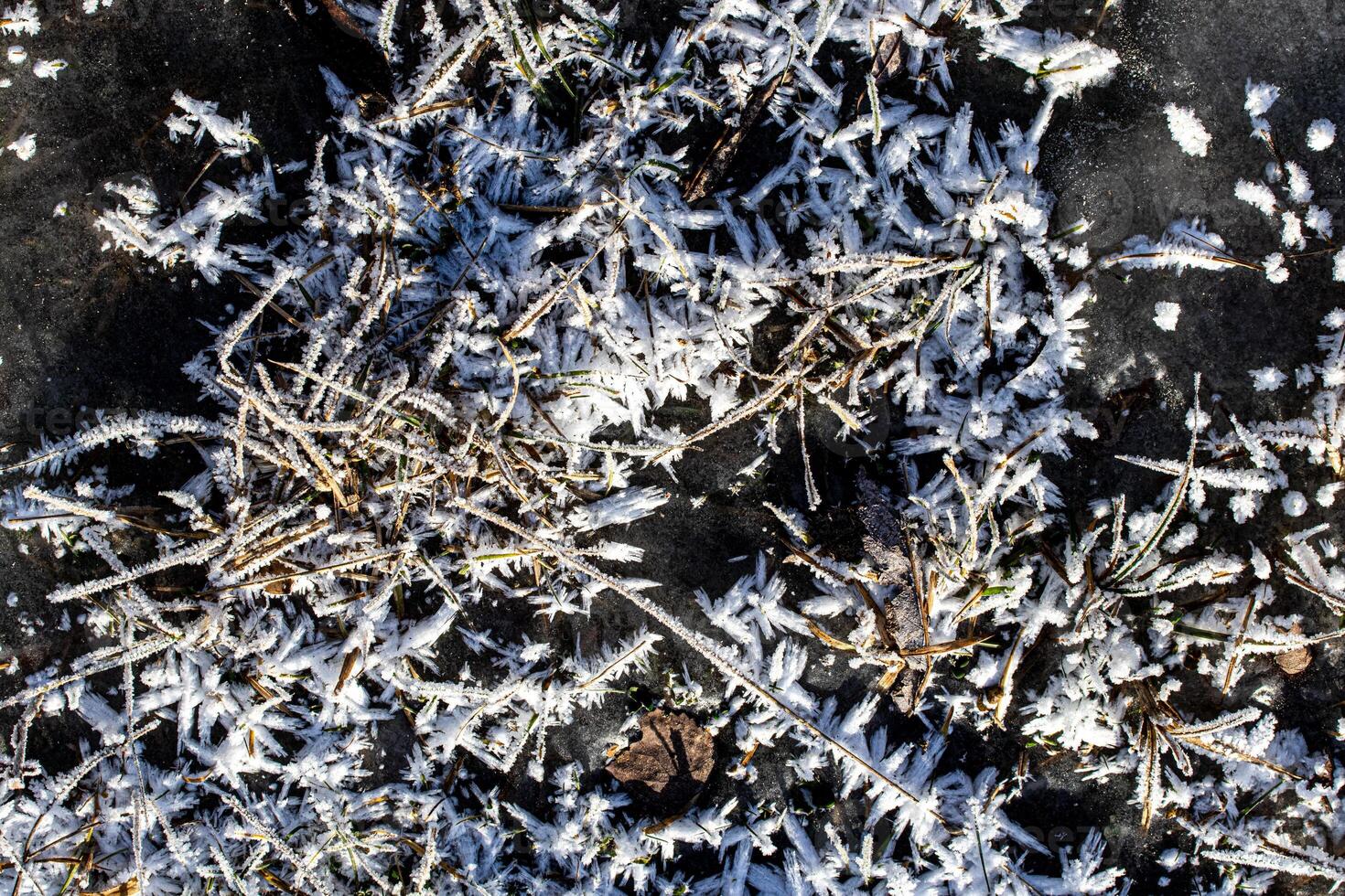 Texture of ice in the winter. Abstract background for design, photographed closeup. photo