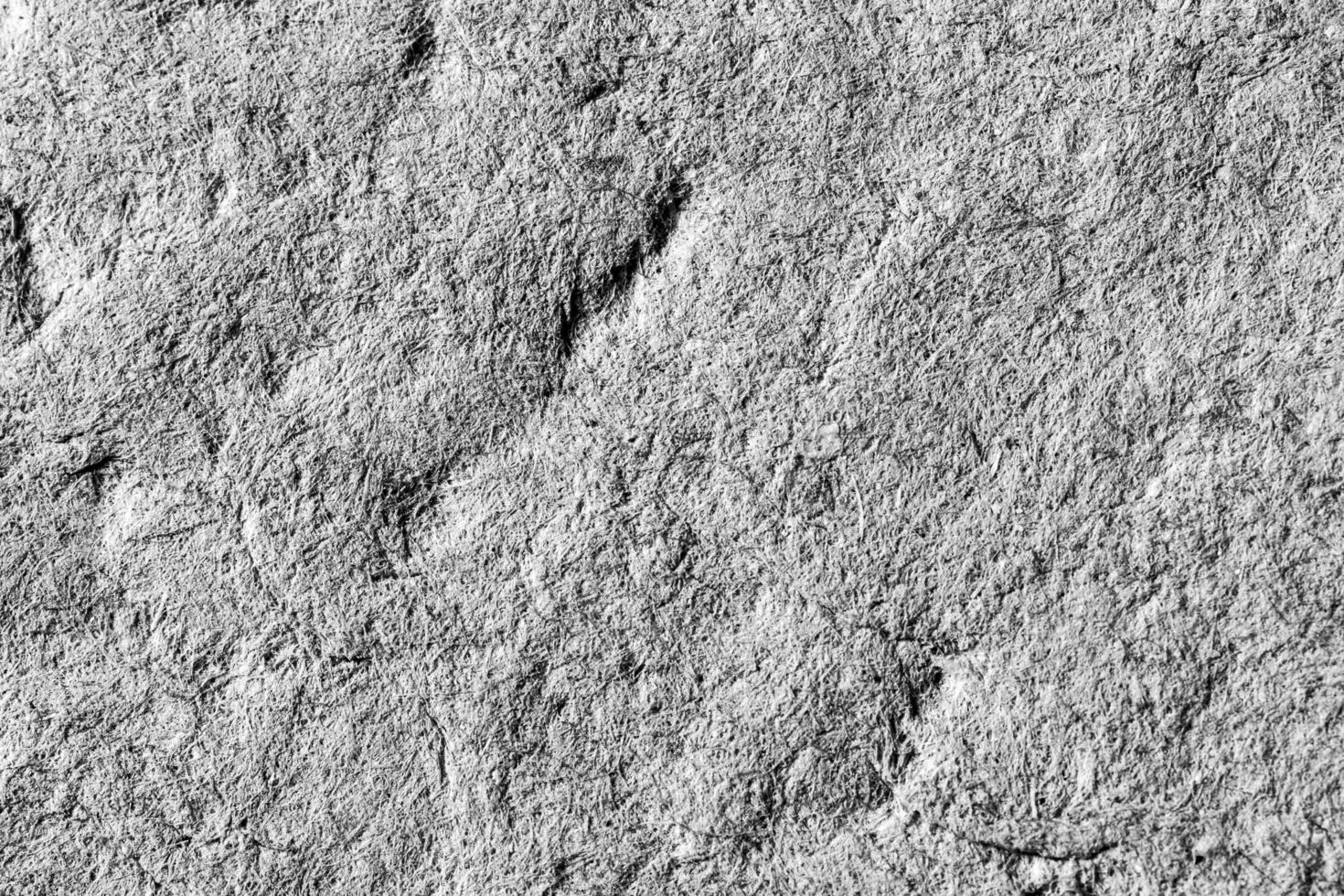 Black and white cardboard texture. Abstract background for design. photo