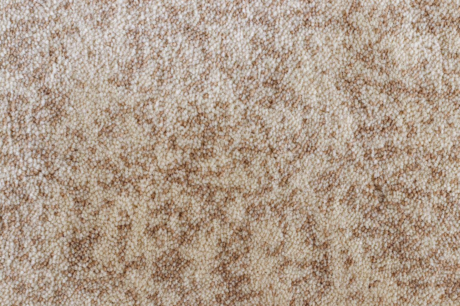 Carpet texture macro. photo