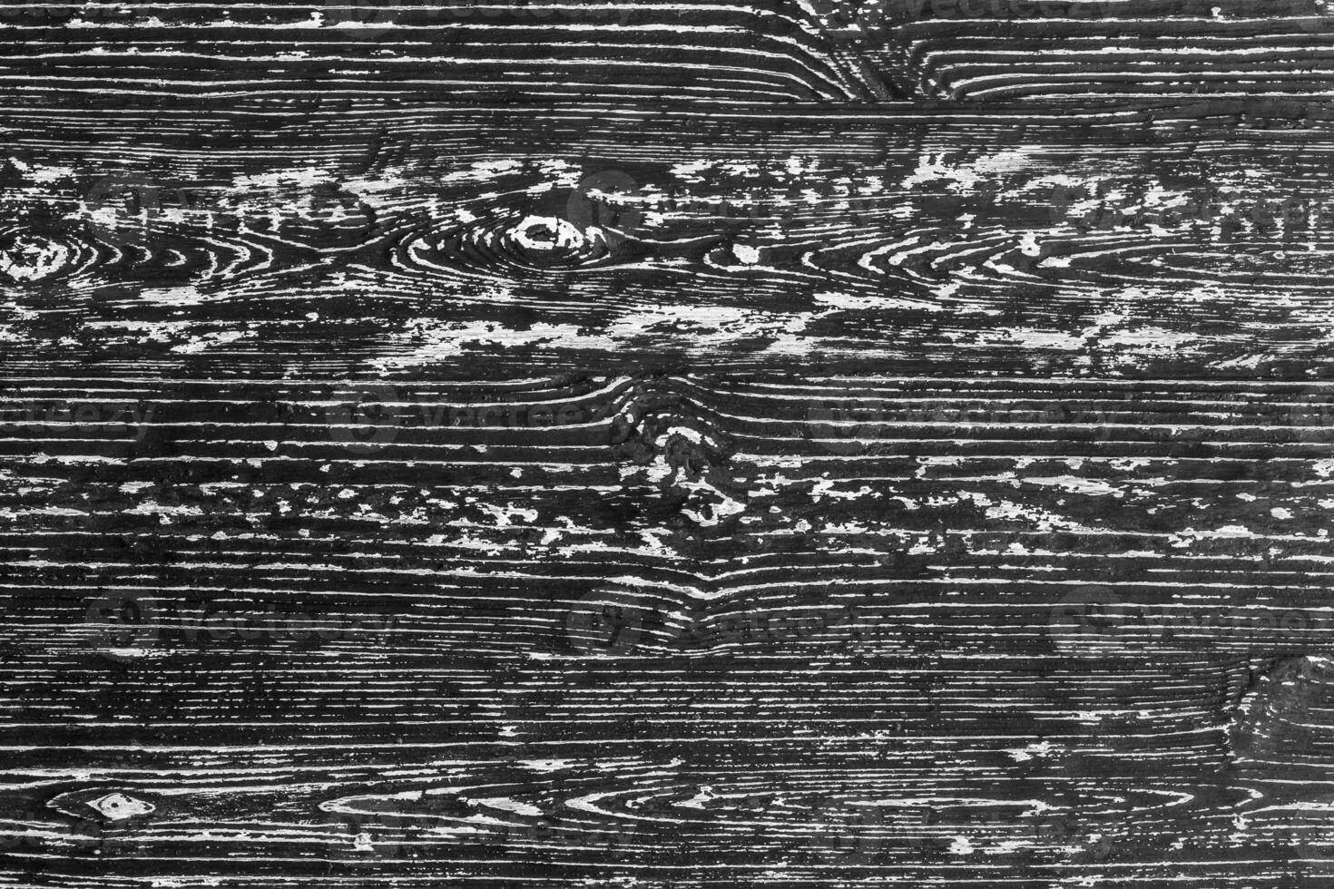Black and white wooden texture. photo