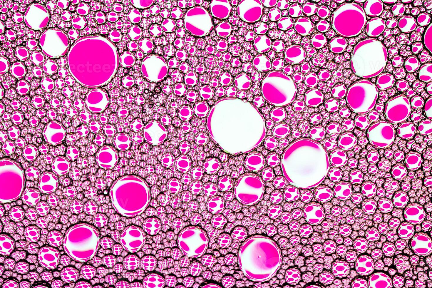 Top view on colorful drops of oil on the water. Circles and ovals. Abstract pink background for design. photo