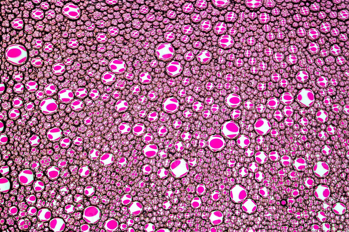 Top view on colorful drops of oil on the water. Circles and ovals. Abstract pink background for design. photo