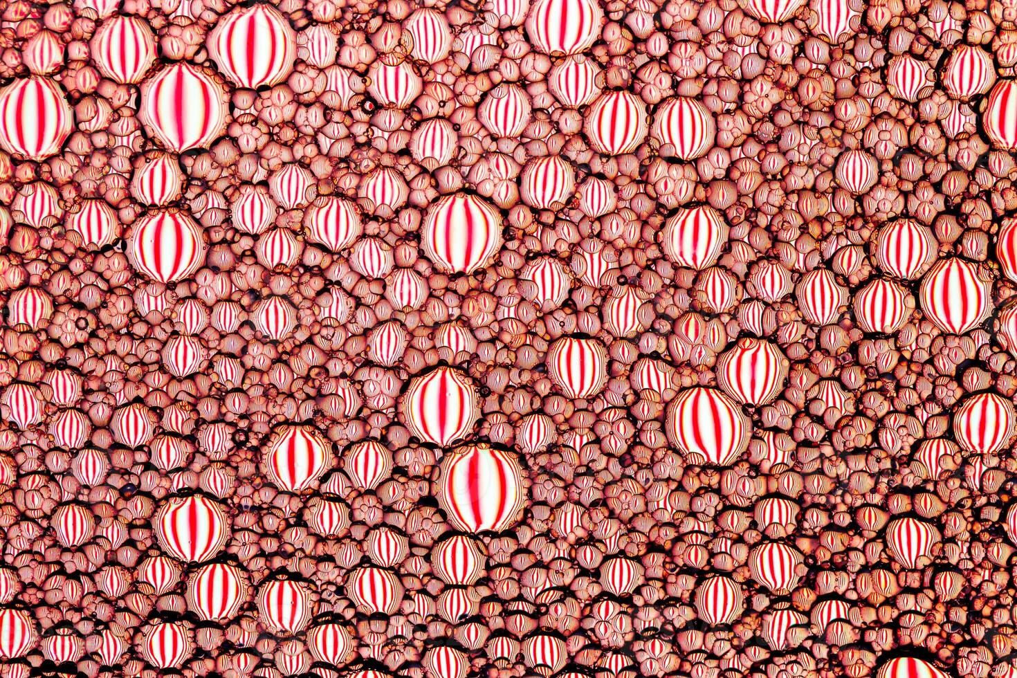 Top view on colorful drops of oil on the water. Circles and ovals. Abstract red background for design. photo