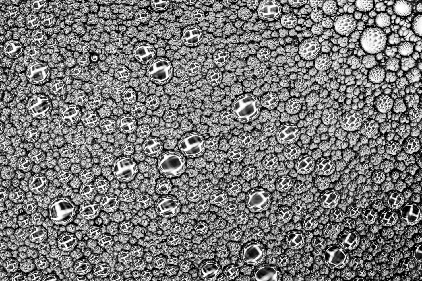 Black and white drops of oil on the water. Circles and ovals. Abstract background for design. photo