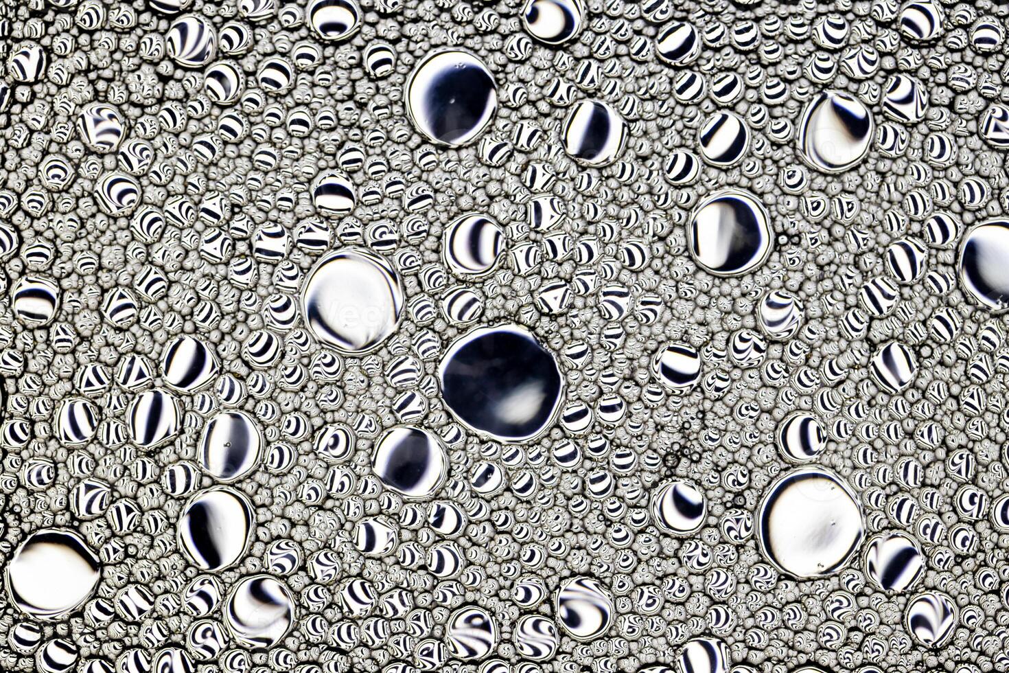 Black and white drops of oil on the water. Circles and ovals. Abstract background for design. photo
