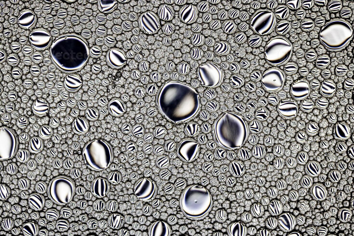 Black and white drops of oil on the water. Circles and ovals. Abstract background for design. photo