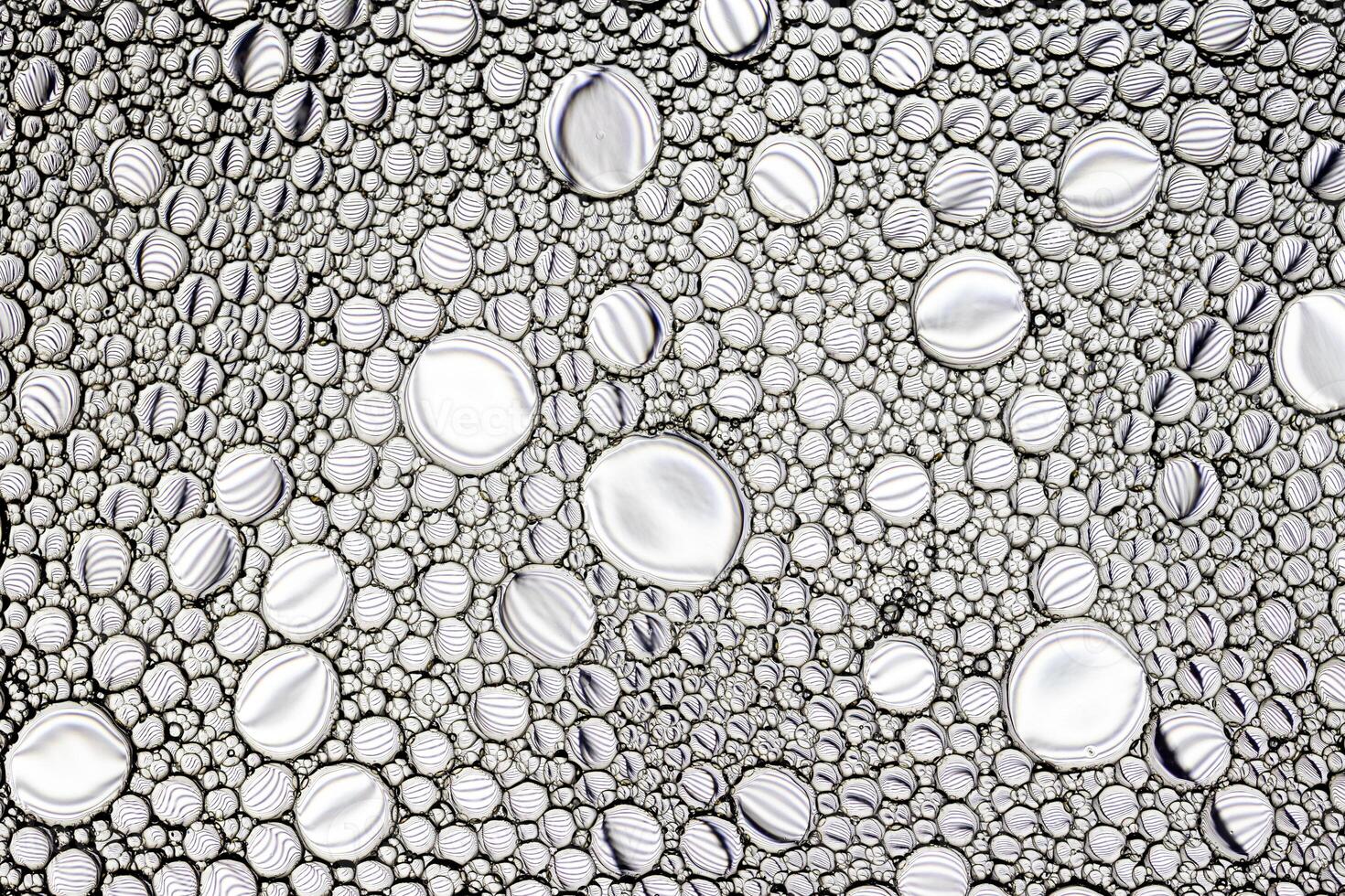 Black and white drops of oil on the water. Circles and ovals. Abstract background for design. photo