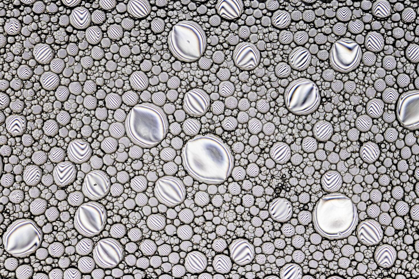 Black and white drops of oil on the water. Circles and ovals. Abstract background for design. photo