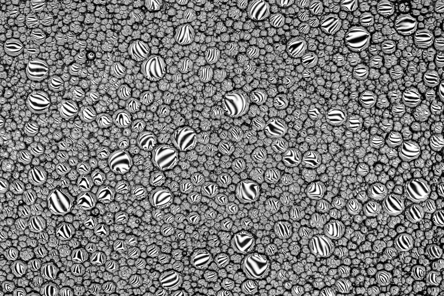 Black and white drops of oil on the water. Circles and ovals. Abstract background for design. photo