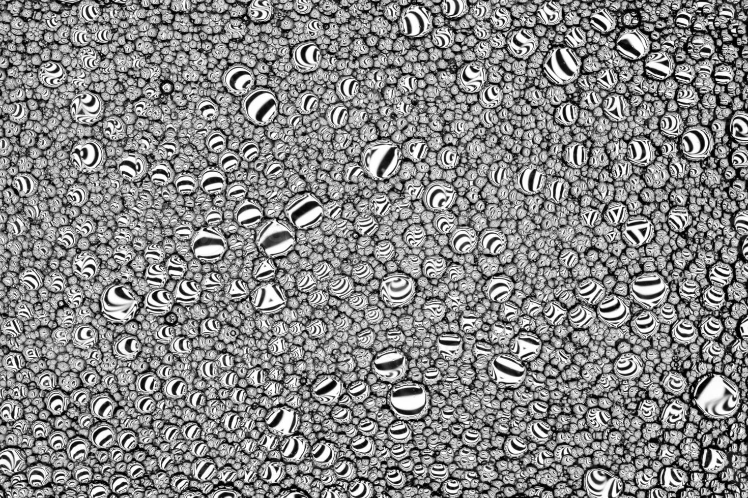 Black and white drops of oil on the water. Circles and ovals. Abstract background for design. photo