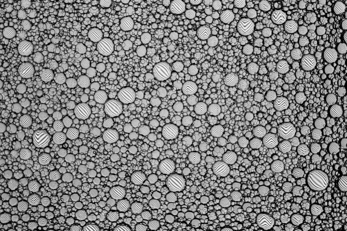 Black and white drops of oil on the water. Circles and ovals. Abstract background for design. photo