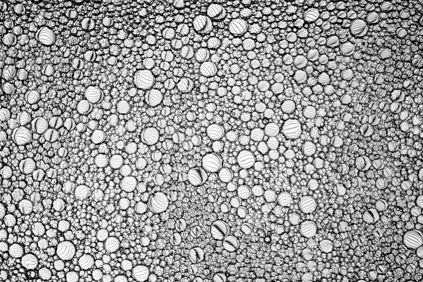Black and white drops of oil on the water. Circles and ovals. Abstract background for design. photo
