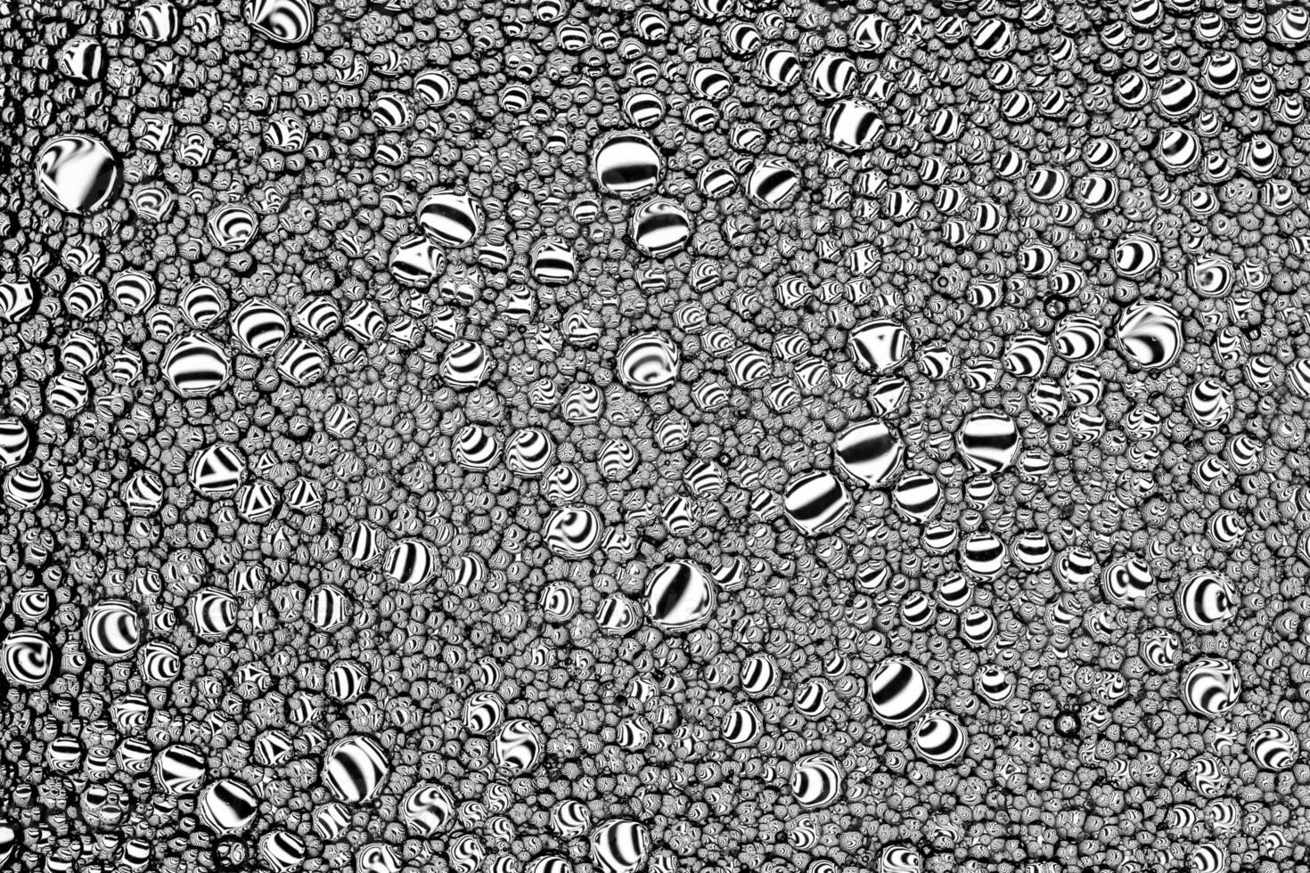 Black and white drops of oil on the water. Circles and ovals. Abstract background for design. photo