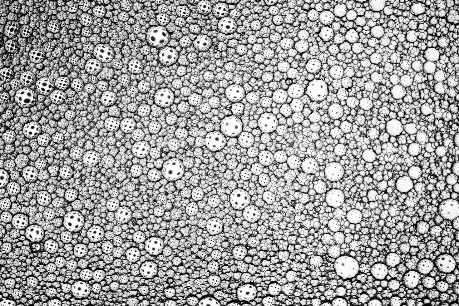 Black and white drops of oil on the water. Circles and ovals. Abstract background for design. photo