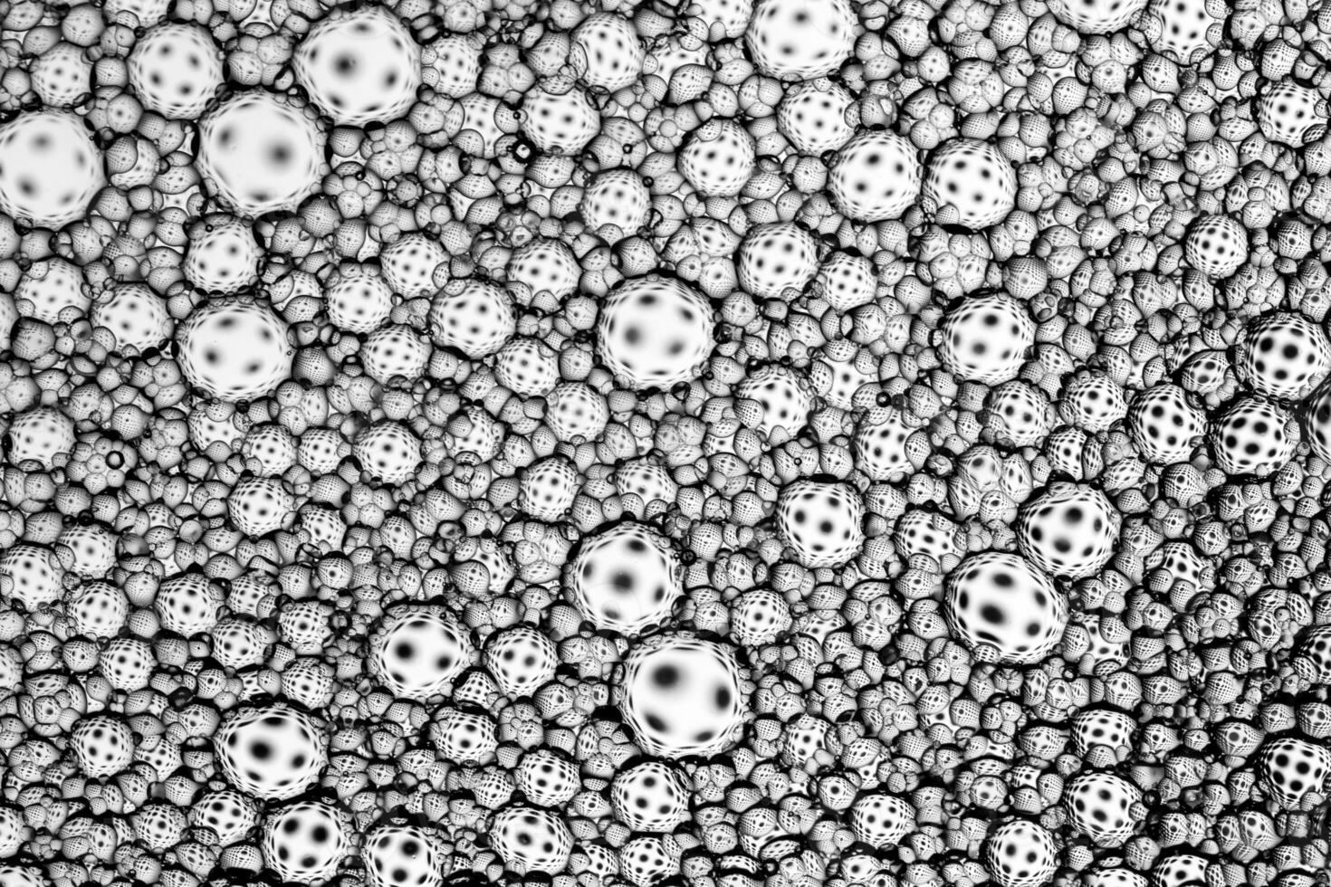 Black and white drops of oil on the water. Circles and ovals. Abstract background for design. photo