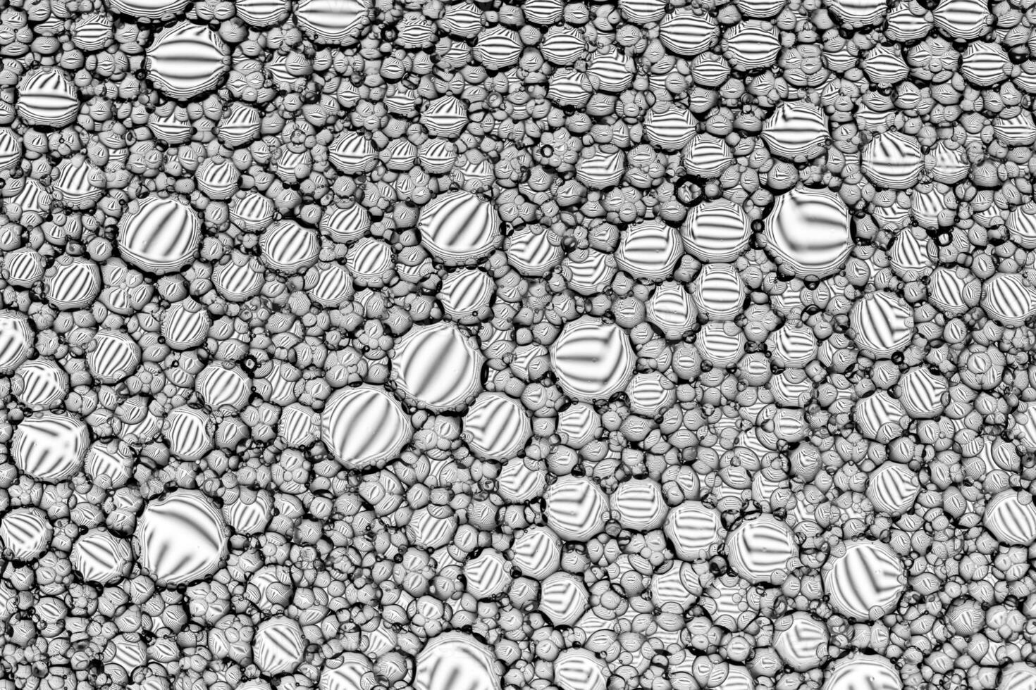 Black and white drops of oil on the water. Circles and ovals. Abstract background for design. photo