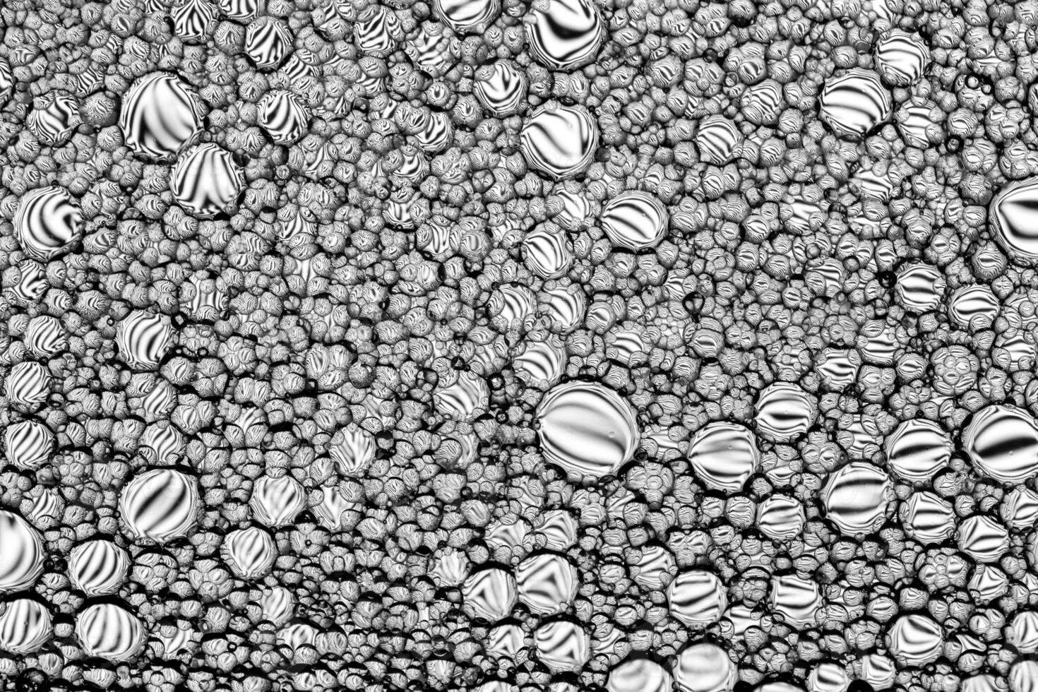 Black and white drops of oil on the water. Circles and ovals. Abstract background for design. photo
