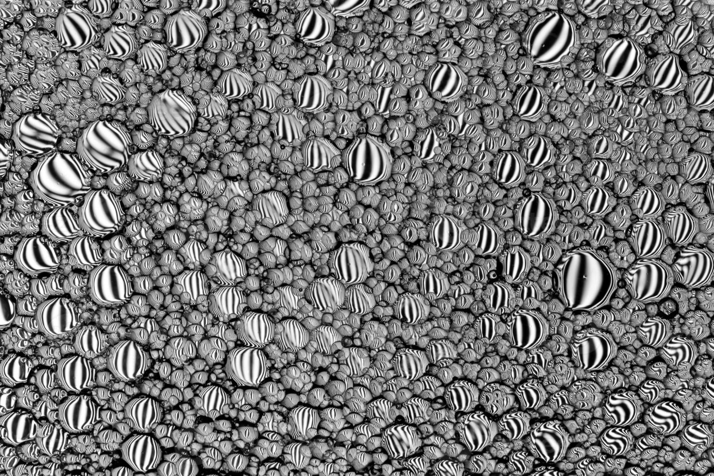 Black and white drops of oil on the water. Circles and ovals. Abstract background for design. photo