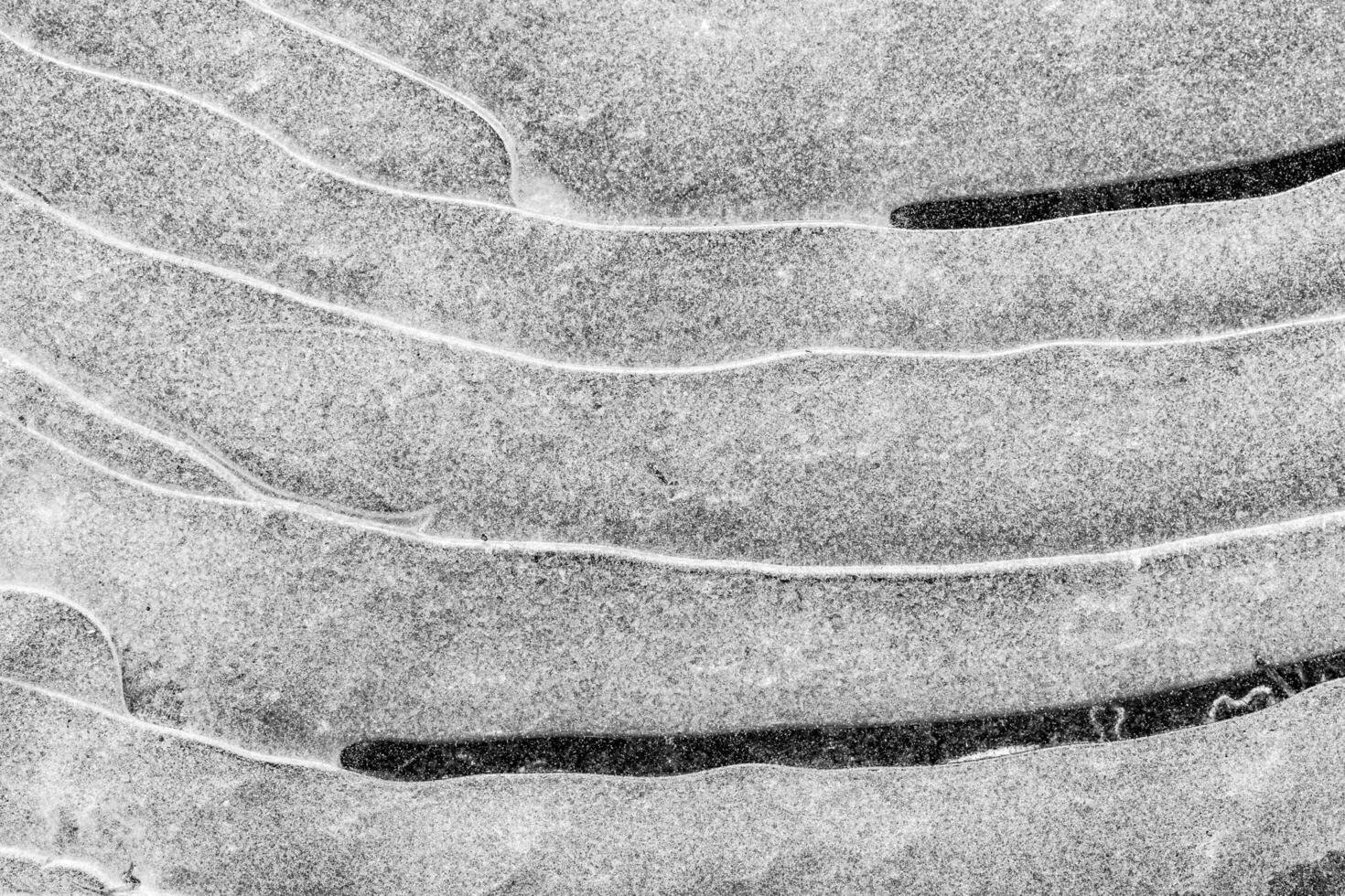 Texture of ice in the winter. Abstract background of frost for design, photographed closeup. photo