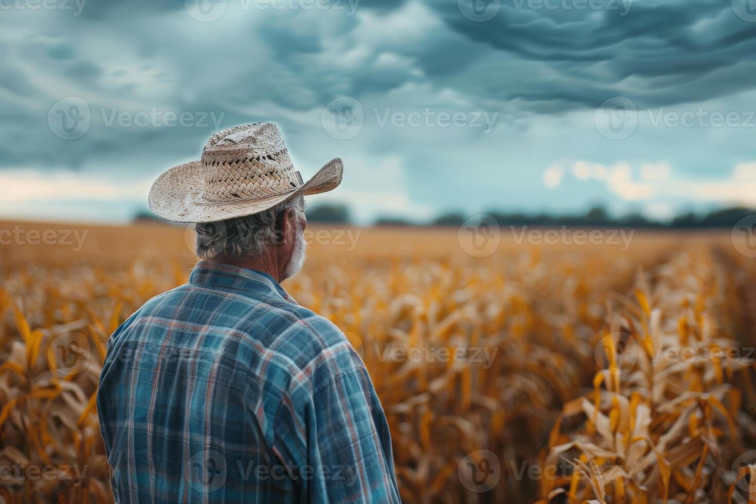 A man wearing a straw hat stands in a field of corn under the sky photo