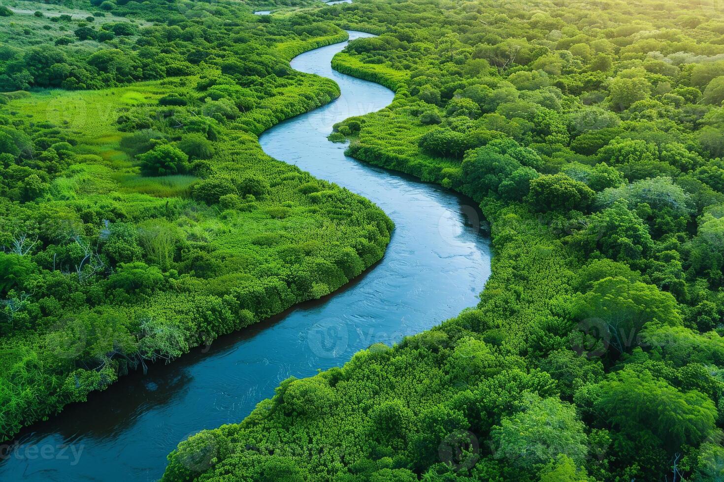 Aerial view of a river meandering through a vibrant forest ecosystem photo
