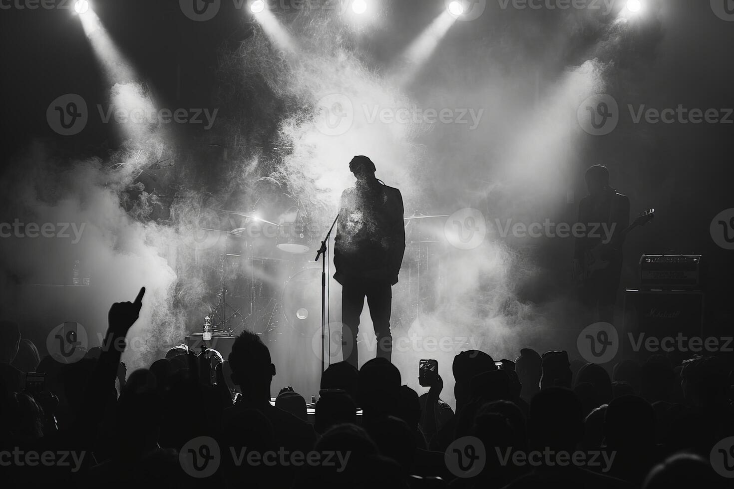A man singing into microphone on stage in front of audience at concert photo