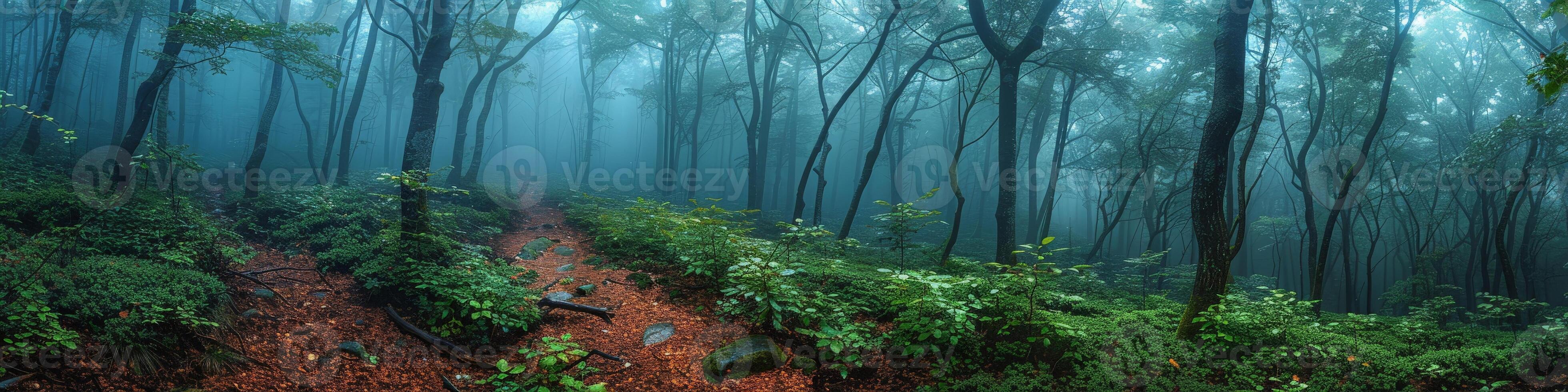 A path in a foggy forest with trees, leaves, and grass on the ground photo