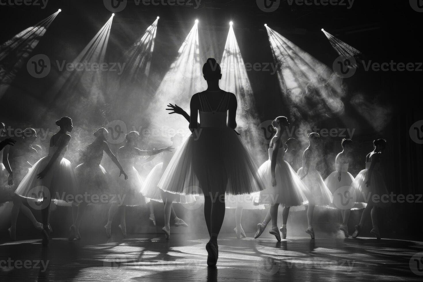 The image shows a group of ballet dancers in black and white performing on stage photo