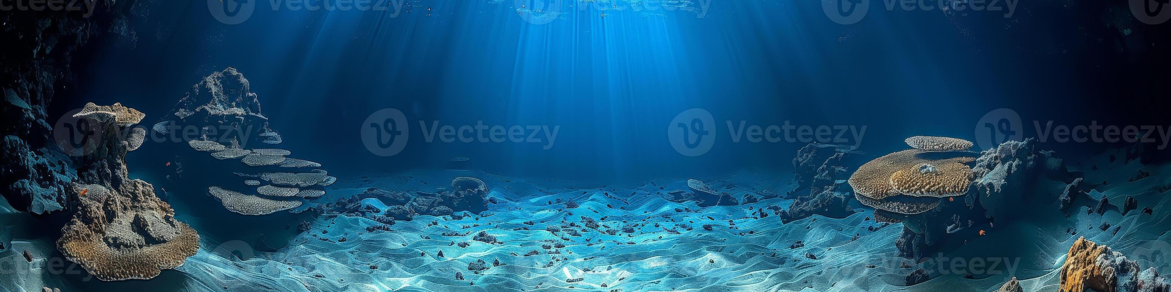 Sunlight shines through the water on a coral reef beneath the ocean surface photo