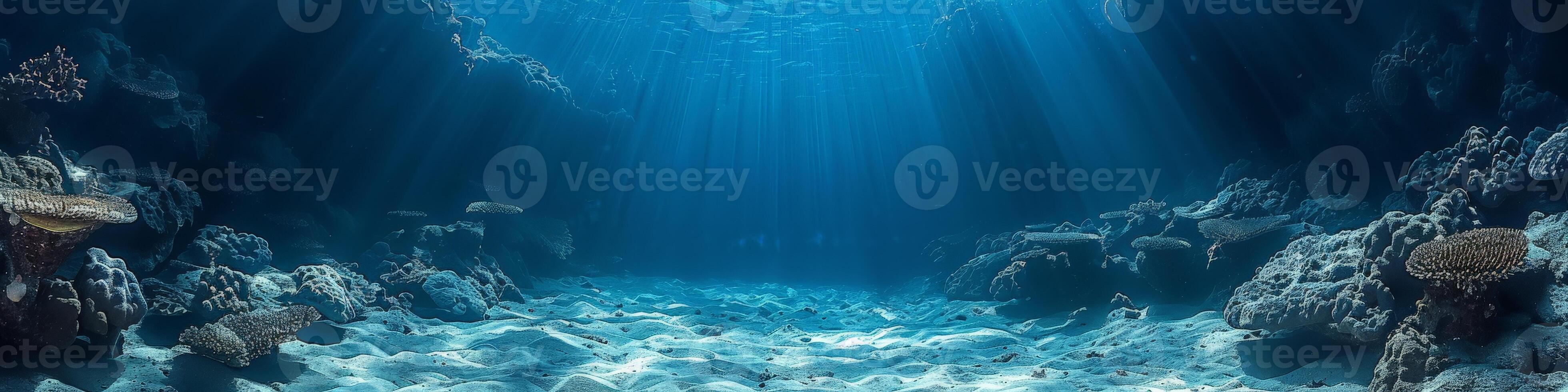 The sun shines through clear water in the ocean, creating a beautiful view photo